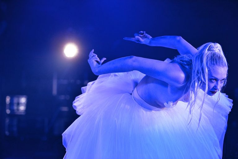 Danseres van Swan Lake in een tutu