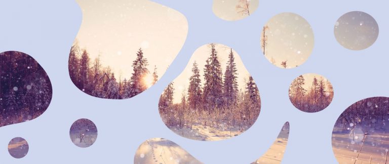 Een winterlandschap met dennenbomen en een zachte zonsondergang in verschillende vormen.