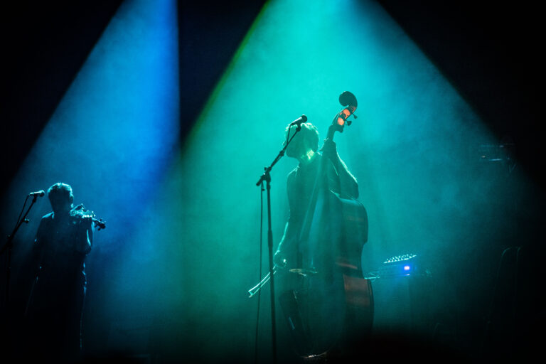 Een silhouet van een muzikant die een contrabas speelt onder groene en blauwe lichten op een podium.