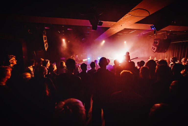 Een menigte geniet van een live muziekoptreden in een sfeervol verlichte zaal.