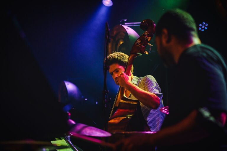 Een muzikant speelt op een contrabas onder kleurrijk, sfeervol licht tijdens een live optreden.