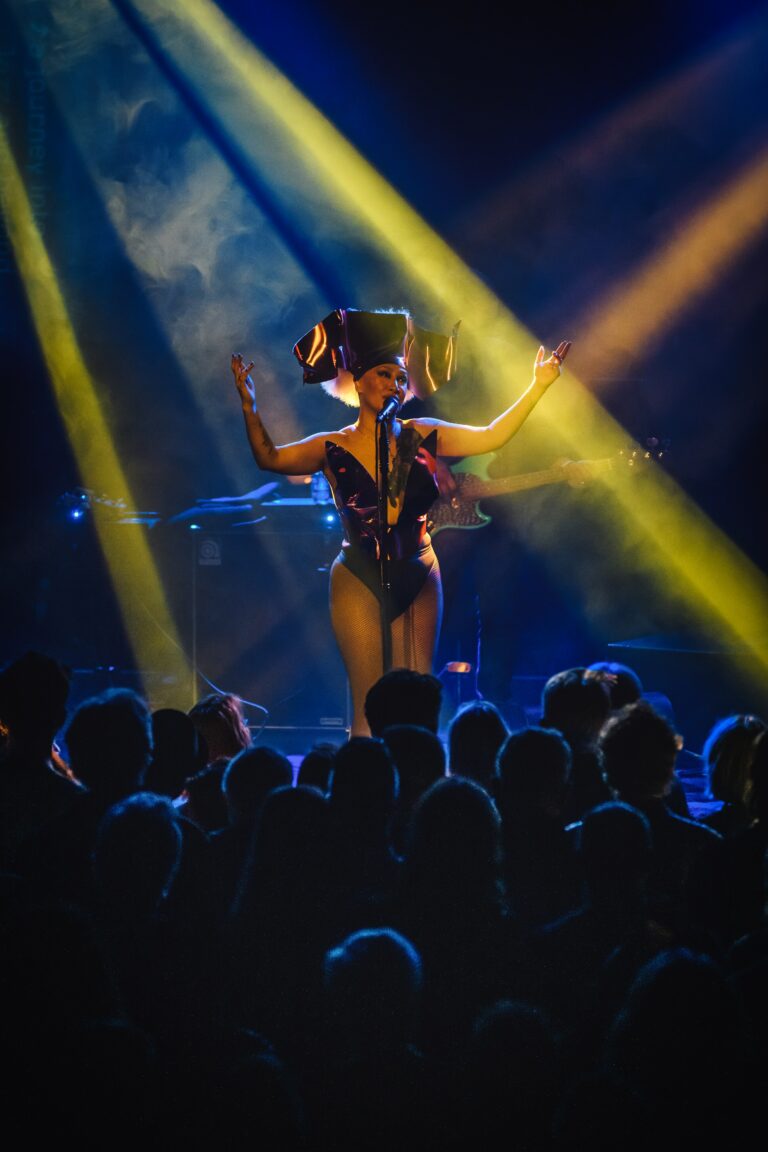 Een performer in een opvallend kostuum danst op het podium, omringd door een enthousiast publiek en gekleurde lichtstralen.