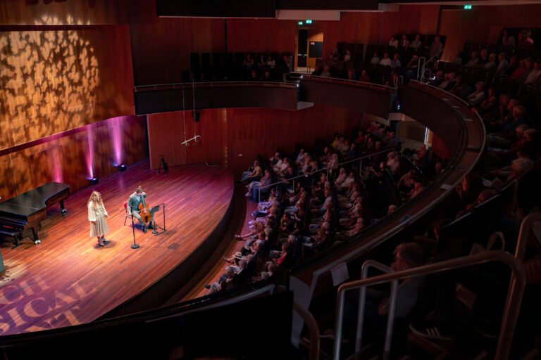 het publiek kijkt naar het optreden