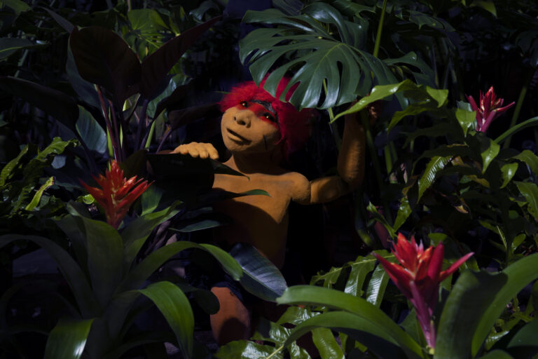 Pop in jungle met allemaal bladeren