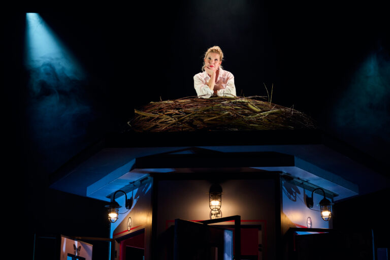 Tjitkse Reidinga in een witte blouse in een vogelnest.