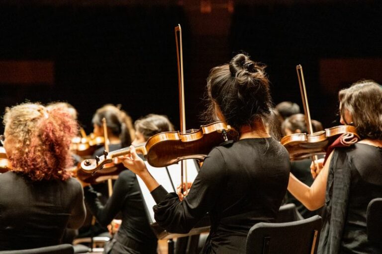 Meisje die viool speelt van achteren gefotografeerd.