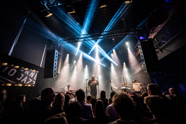 Een muzikant staat op het podium terwijl een enthousiaste menigte naar de voorstelling kijkt, omringd door sfeervolle lichten.