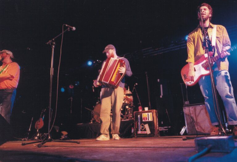 Een muzikant speelt op een accordion op een podium, terwijl andere bandleden met instrumenten staan.