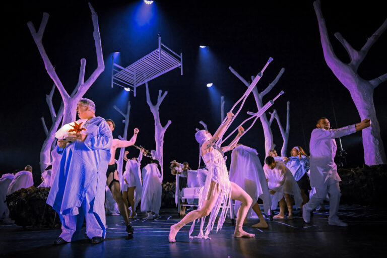 Meerdere dansers in witte kostuums voeren een choreografie uit op een donker podium met blauw licht en witte takken als rekwisiet.