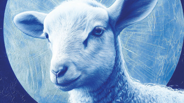 Een lammetjes in blauw licht