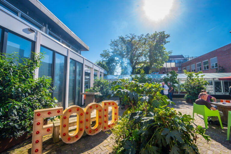 Een zonovergoten tuin met een grote, verlichte 