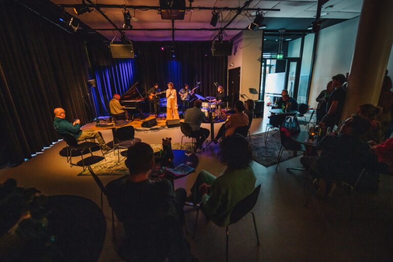 foto van achter op het publiek en de zangeres