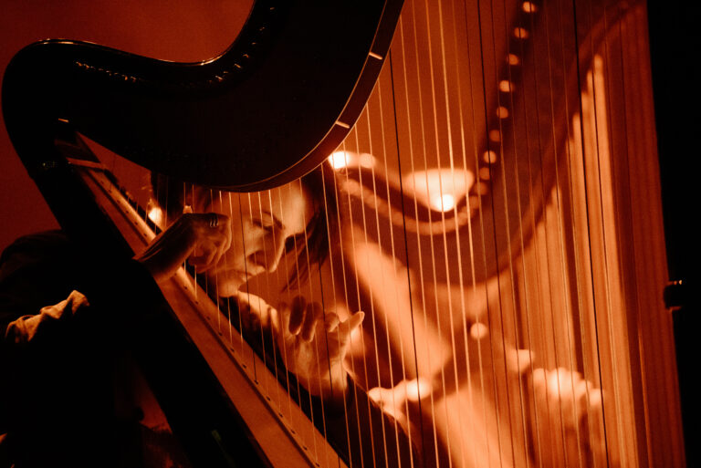 Een muzikant speelt op een harp, met warme verlichting die de scène accentueert.