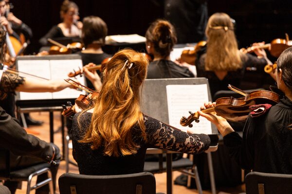 Een orkest met musici die violen bespelen, gezien vanaf de achterkant.