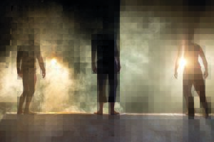 Collectief Het Paradijs