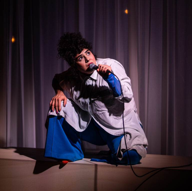 Het jaar van Meral Polat