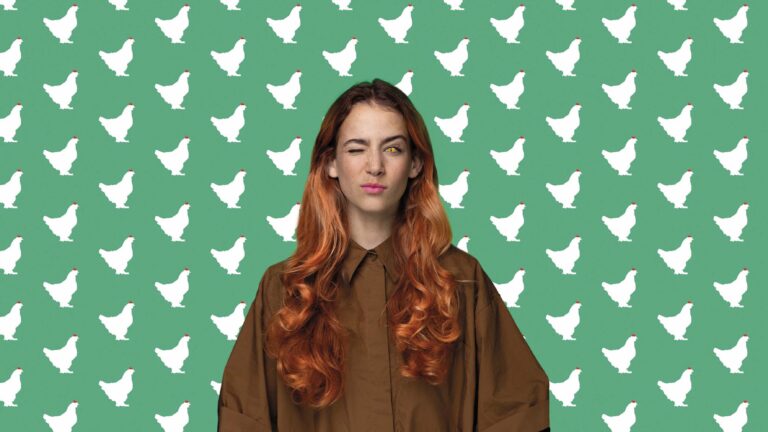 Het Sluwe Vosje - Nederlandse Reisopera