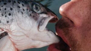 Scriptlezing Tussen de Mazen