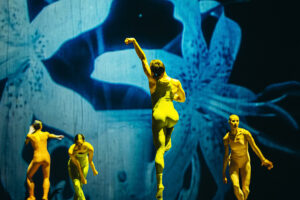 Nederlands Dans Theater 1