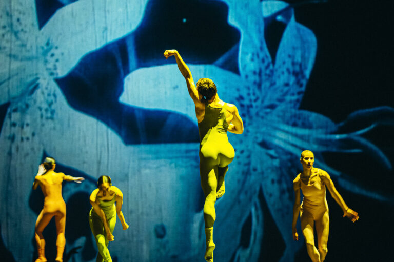 Nederlands Dans Theater 1