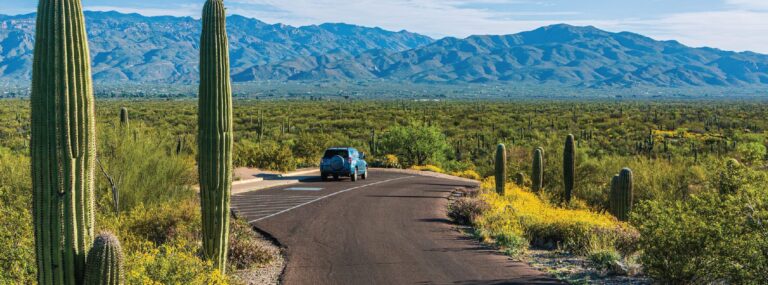 TakeRoot presents Pas